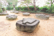 本薬師寺跡