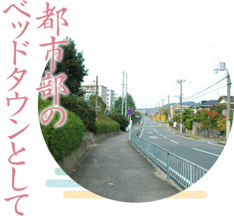 都市部のベッドタウンとして