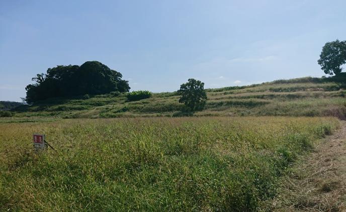 丸山古墳