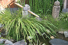生流茶庭 ふる伊音