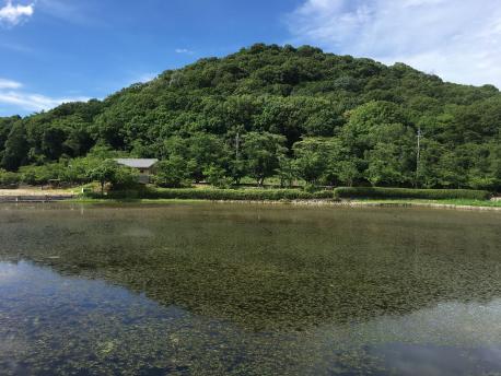 耳成山