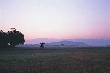 藤原宮跡