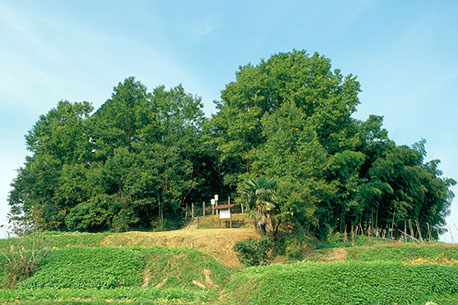 丸山古墳