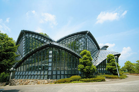 橿原市昆虫館